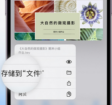 芒康apple维修中心分享iPhone文件应用中存储和找到下载文件