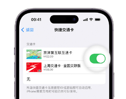 芒康apple维修点分享iPhone上更换Apple Pay快捷交通卡手绘卡面 