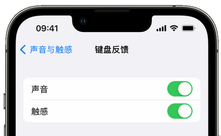 芒康苹果手机维修分享iPhone 14触感键盘使用方法 