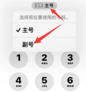 芒康苹果14维修店分享iPhone 14 Pro Max使用副卡打电话的方法 