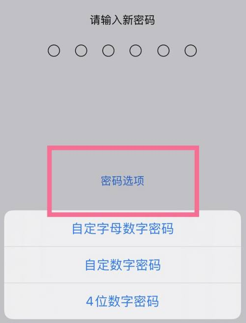 芒康苹果14维修分享iPhone 14plus设置密码的方法 