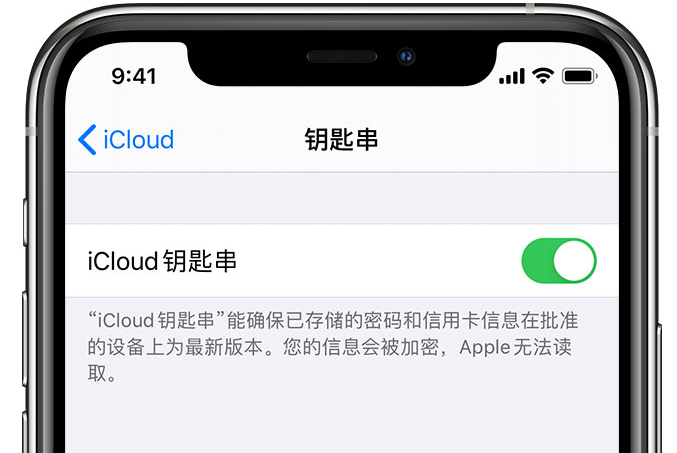 芒康苹果手机维修分享在 iPhone 上开启 iCloud 钥匙串之后会储存哪些信息 