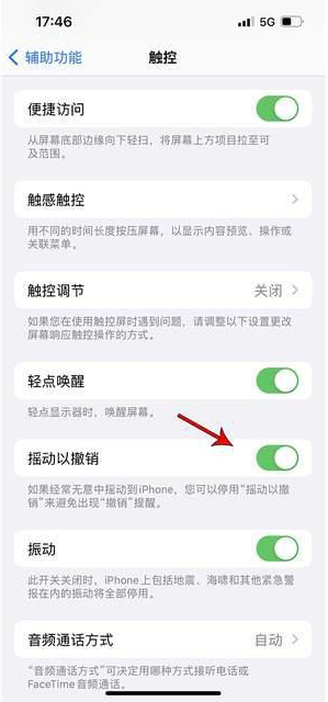 芒康苹果手机维修分享iPhone手机如何设置摇一摇删除文字 